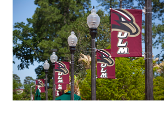 warhawk flags along the main drive on a sunny day