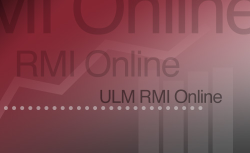  RMI Online