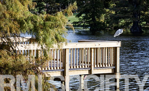  Campus scene of the bayou and a dock