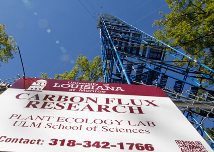ULM’s new Carbon Flux Research Tower Photo of carbon flux tower