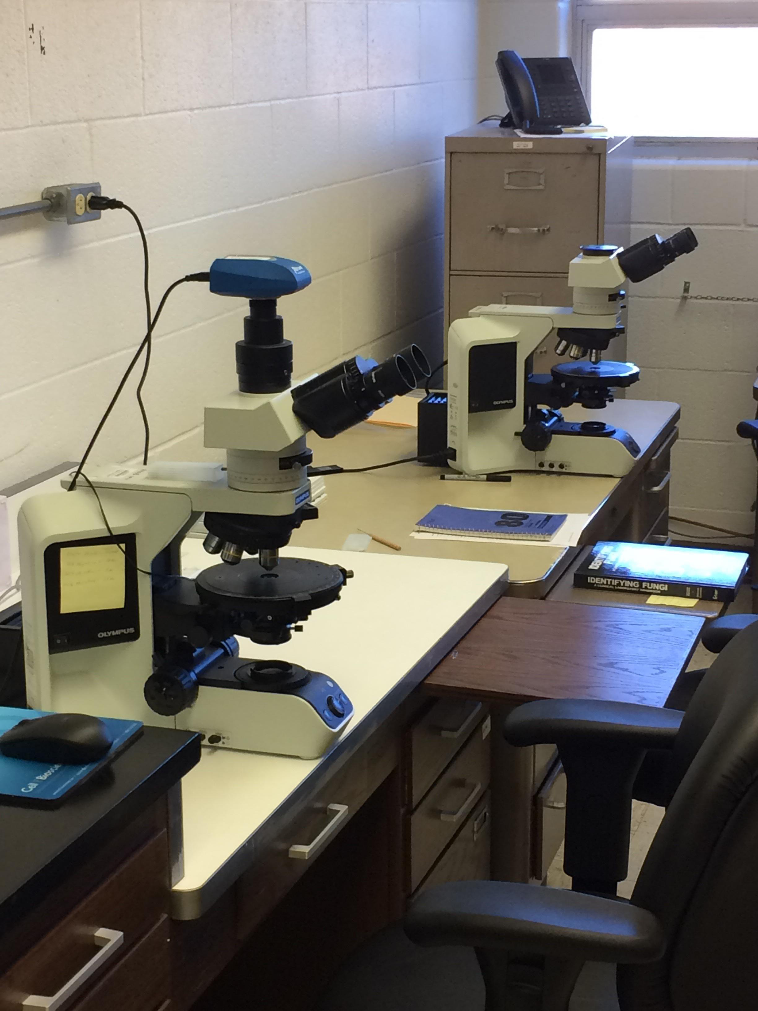 Image of polarized light microscopy (PLM) (EPA Method 600)