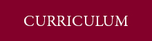 Curriculum Button