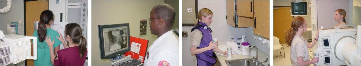 students working in clinical education sites
